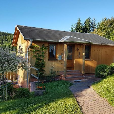 Haus Talsperreneck Villa Stutzengrun Exterior photo